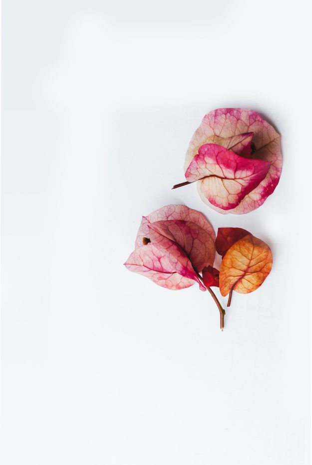 aman-shrestha-QFjaXr4Asa0-unsplash