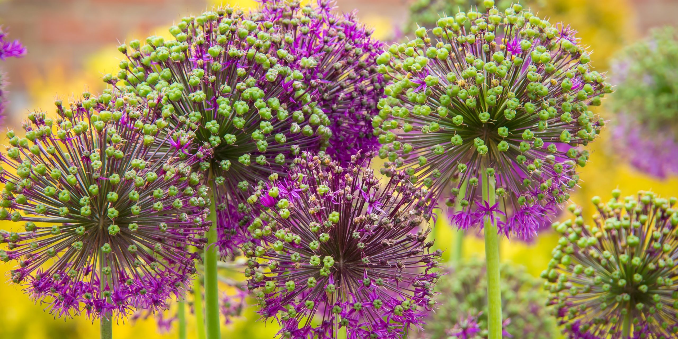 richard-loader-PEaGxHk2NWY-unsplash